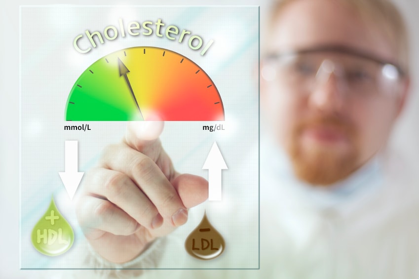 The Cholesterol Connection.jpg